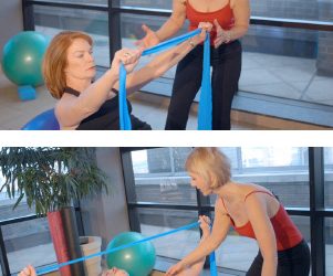 Tendon Pain – Thinking Towards Exercise